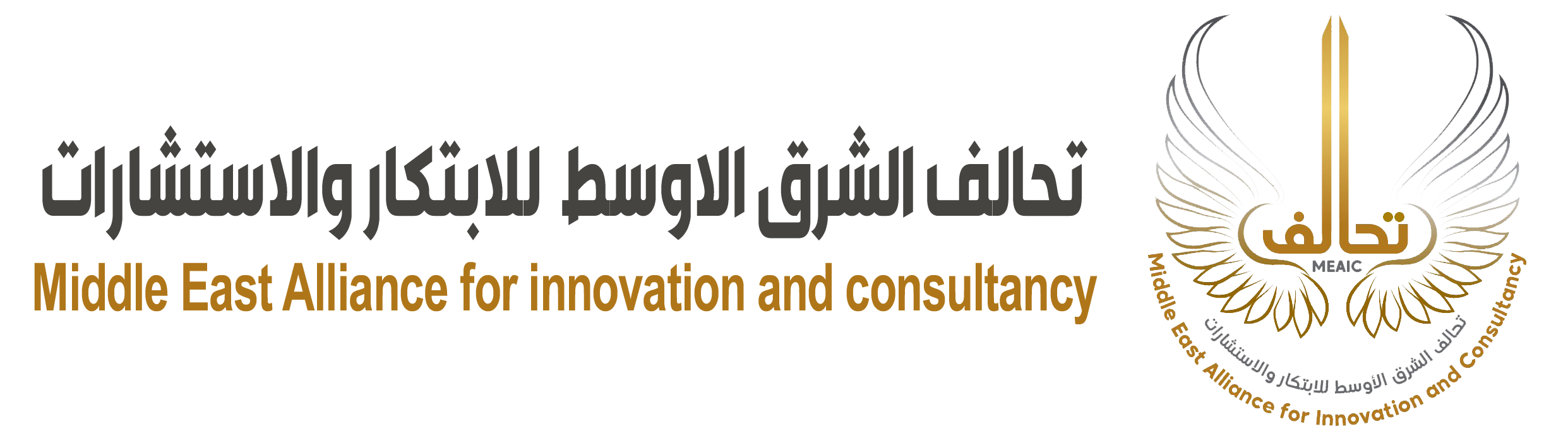تحالف الشرق الاوسط للابتكار والاستشارات